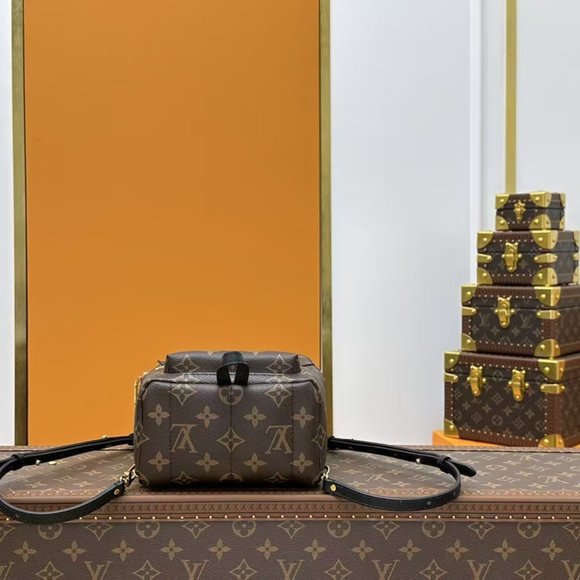 LV Brand new Louis Vuitton brown backpack casual bag travel bag main image 8